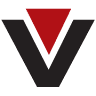 V-AID Group, Inc.