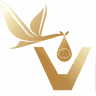 VFC V Fertility Center​