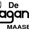 the Vagant