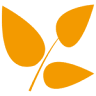 Valérie MOREAU Naturopathe Réflexologue