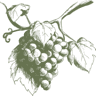 Valleprima vino e olio