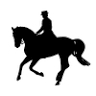 Valley View Equestrian
