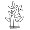 VDB Plantenbakken