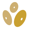 Il Vecchio Frantoio