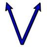 Vector Tax & Accounting, LLC