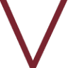 Venini Australia