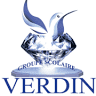School Group Verdin
