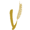 Vero Cucina