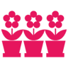 Blumen und Garten Veronika Schmeikal OG
