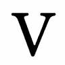 Vessels Insurance