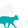 Kleintierpraxis Vet-Doc