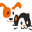 Clinica Veterinaria Murcia Norte