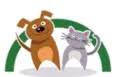 Vet for Pet Wellness & Emergency Animal Hospital