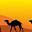 Viajes-Marruecos4x4.Com