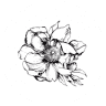 Viale Flower Farm