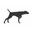 Victoria Armstrong Fine Art Ltd