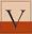 Vigini Paint and Design