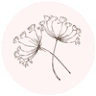 Village Acupuncture & Ayurveda
