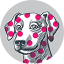 Village Vet Potters Bar