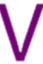 Vinodhon Tandoori