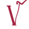 Vinotico
