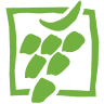 Vinocity