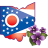 Violet Twp Building Department