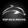VipDolphins Catamaran Whale Watching