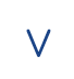 Vision Bariatrics