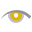 Vision Eye Max, LLC