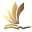 Vision Language Experts - Center for PTE, IELTS & NAATI CCL Preparation