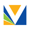 Vision School of Management