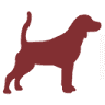 Beagle Outlet