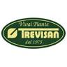 Vivai Piante Trevisan srl