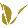 Vivantus Flores