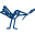 Vivo Naturkost