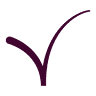 Vizion Insurance Brokers Limited