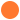 Vloerenbeer