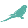 Vogelgaleria