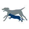 Veterinary Tissue Bank