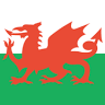Wales Football Clothing