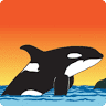 San Juan Excursions Whale & Wildlife Tours