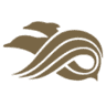 Surf Hero Market