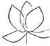 Waterlily Beauty & Makeup Studio
