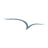 Blue Pointe Grille