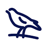 The Hawthorns