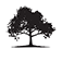 Wcs Properties Inc