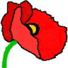 Blumen Meyer