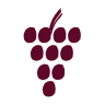 Wein Spirituosen Rieser