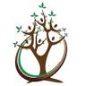 Wellness Embodied Mantra Trilogy